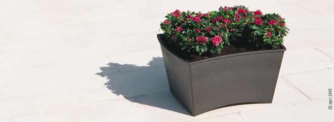 Neri, Italia, jardinire florale, Cycoe, Yves Corminboeuf